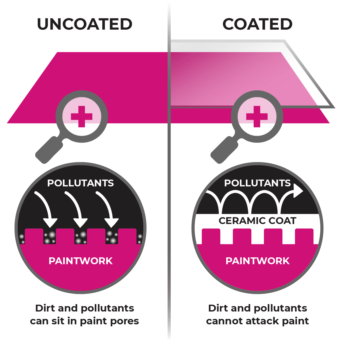 Ceramic Coating Chichester Infographic